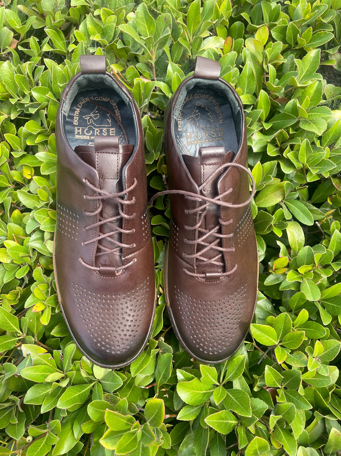 Men’s Leather Sneakers